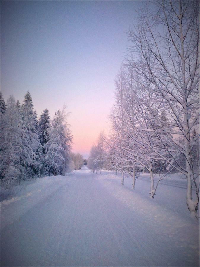 Villa Havula Рануа Екстер'єр фото
